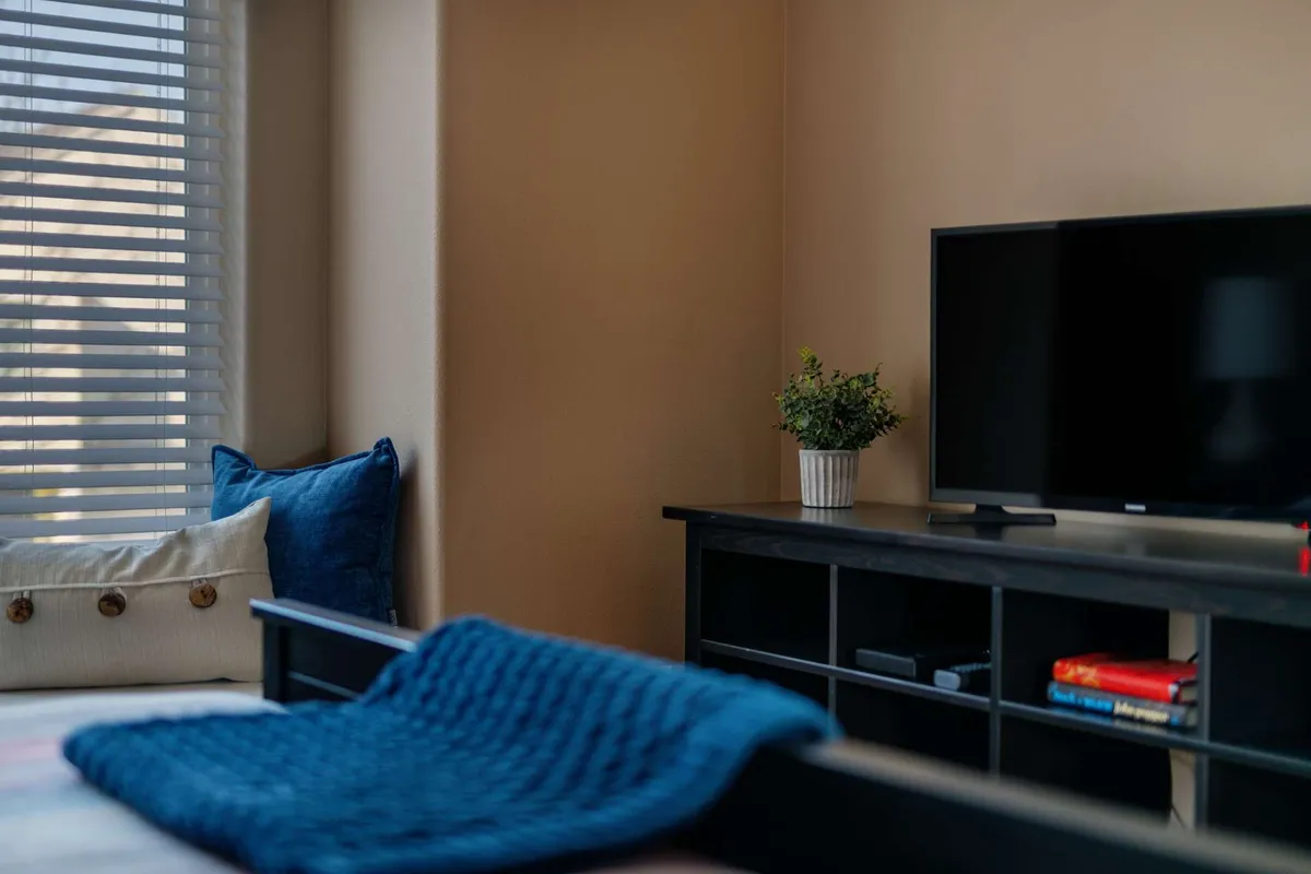 A cozy living area with a black television as a focal point, surrounded by a cushioned seating area with a blue throw blanket and a potted plant adding a homely touch. Soft natural lighting makes the room inviting for streaming shows or relaxing as a group.